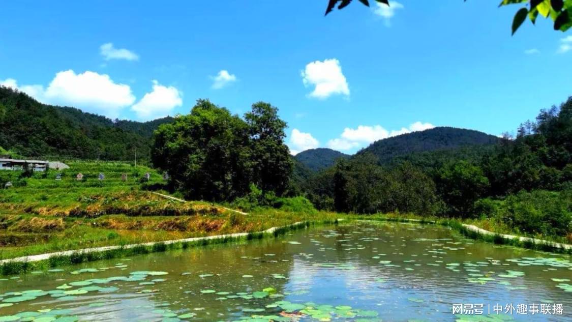 抖音作品涨赞下单秒涨：玩转自媒体平台提升粉丝互动秘籍_闲鱼24小时业务自助网站