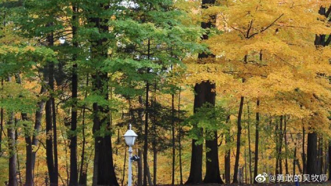 快手作品赞自助下单：快手内容创作者互动新趋势探讨